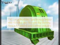 TXZ Động cơ đồng bộ không chải lớn 400-15000kw 3kv-11kv với mô-men xoắn khởi động lớn cho ngành công nghiệp khai thác mỏ và xi măng