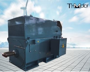 Động cơ điện cao áp lồng sóc lớn Y800 6000kw 1500r / Min IP54