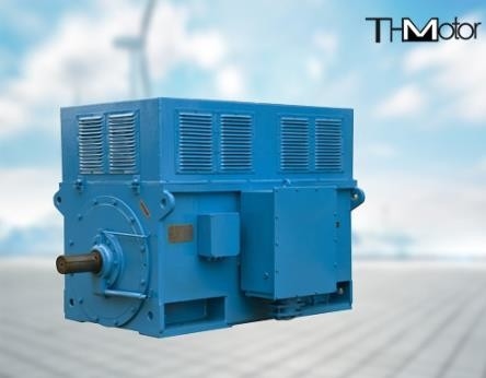 1400kw Ba pha điện cao áp động cơ cảm ứng 100rpm đến 3600rpm