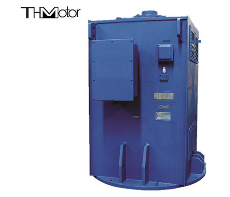 2800kw Động cơ cảm ứng không đồng bộ 3 giai đoạn gắn thẳng đứng IP55 IP54