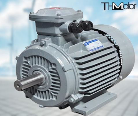 Máy bơm động cơ điện chống cháy cao áp GB30254 IP65 165kW