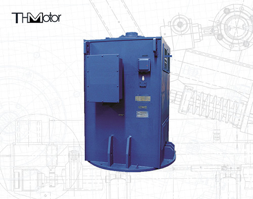 2800kw Động cơ cảm ứng không đồng bộ 3 giai đoạn gắn thẳng đứng IP55 IP54