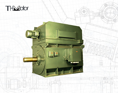 YPKK Cage Inverter Motor không đồng bộ ba pha 3000RPM IP55 6000KW