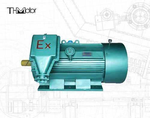 6 cực Bằng chứng ngọn lửa Động cơ không đồng bộ ba pha 10000V