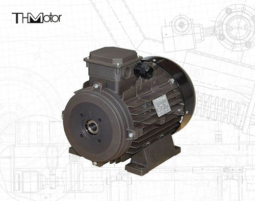Động cơ DC điện áp IP54/IP55 cho ứng dụng công nghiệp