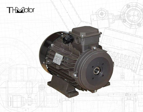 Động cơ DC điện áp IP54/IP55 cho ứng dụng công nghiệp