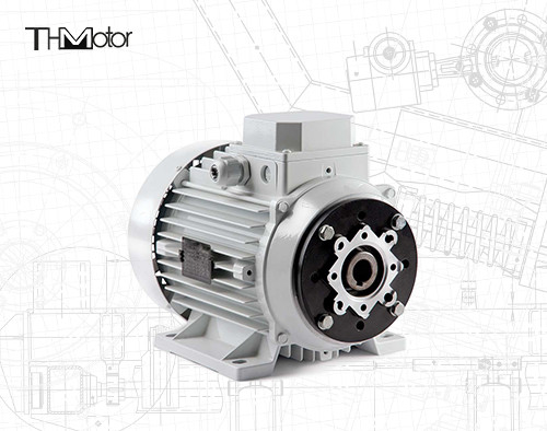 1000-12000kw 4/6 cực điện áp động cơ DC trục rỗng / trục rắn cho các ứng dụng hạng nặng