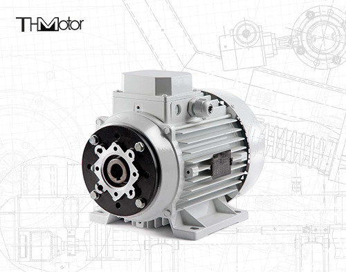 1000-12000kw 4/6 cực điện áp động cơ DC trục rỗng / trục rắn cho các ứng dụng hạng nặng