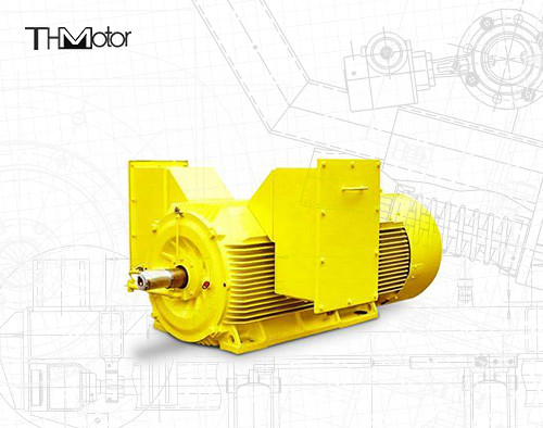 Động cơ điện chống cháy 20P 3 pha Squirrel Cage 5600KW