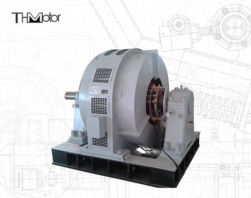 TDG Động cơ đồng bộ quy mô lớn 6kv cho nhà máy thép thổi khí