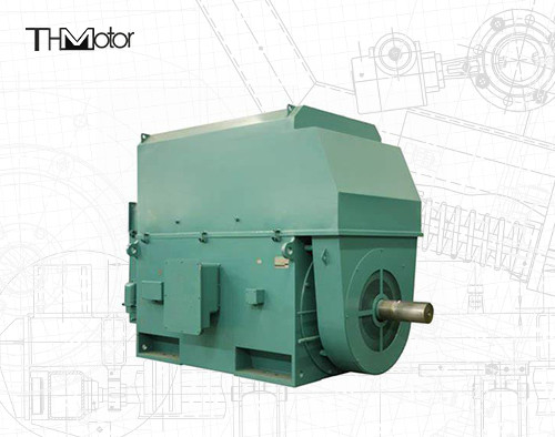 Động cơ điện 50hz điện áp IP23 - IP55 Phạm vi công suất định giá giữa 400kw và 6000kw