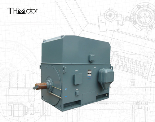 Động cơ điện chuồng sóc công nghiệp 3000RPM 1250KW 142A IP55 liên tục S1