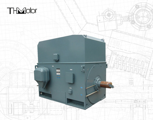 Động cơ điện chuồng sóc công nghiệp 3000RPM 1250KW 142A IP55 liên tục S1