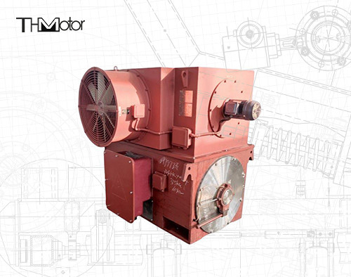 Động cơ đồng bộ rôto cảm ứng ba pha 10KV 10KV IP44