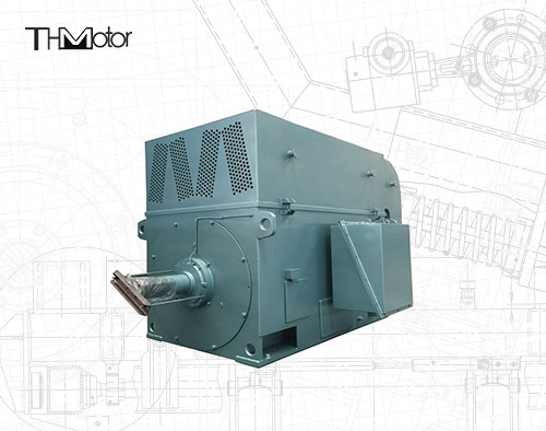 Lồng sóc Động cơ điện tốc độ cao Động cơ điện cao áp 6KV 10KV IP23 IP54 IP55
