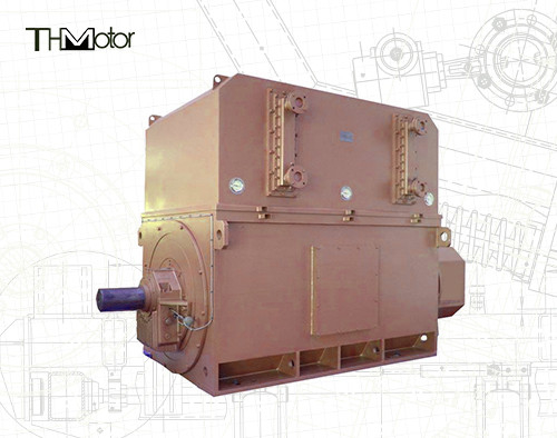 Động cơ điện áp cao công nghiệp 6000v-11000v 2 cực cho tối ưu và hiệu suất