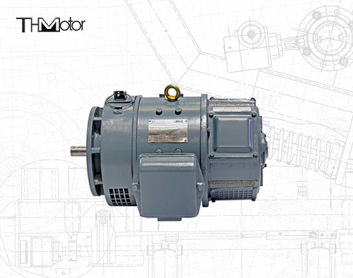 CE IEC Z2 Series Động cơ DC điện áp cao nhỏ 115v 220v z2 động cơ dc nhỏ