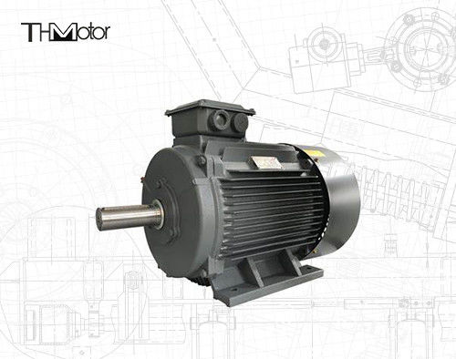 GB30254 Động cơ điện phòng nổ cao áp IP65 165kW
