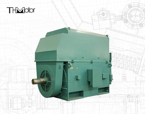 Động cơ điện 50hz điện áp IP23 - IP55 Phạm vi công suất định giá giữa 400kw và 6000kw