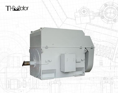 Động cơ lồng sóc 50Hz với trục 100mm cho hoạt động liên tục 3000RPM