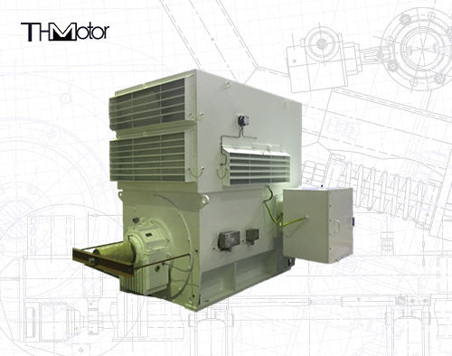 Động cơ cảm ứng ba pha WPI WPII Series cho sử dụng công nghiệp